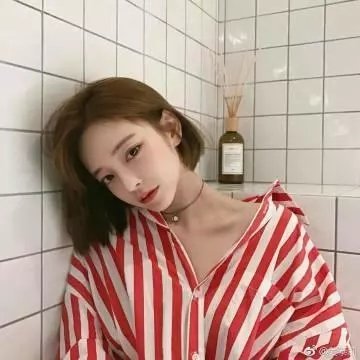 中央公园第二季
